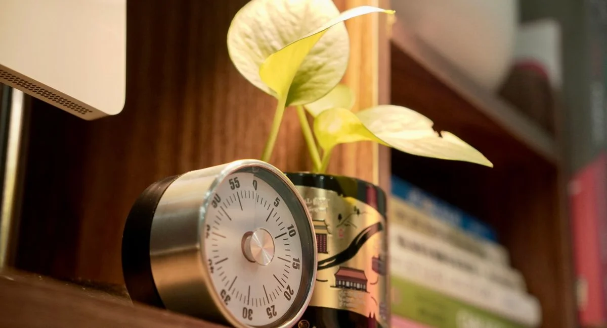 A homey shelf with a metal timer, vibrant plant, and colorful books.